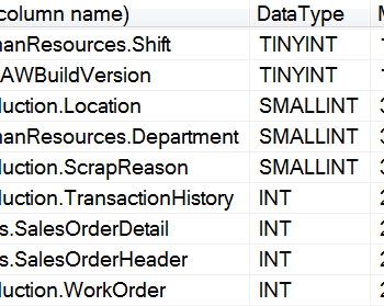 Table showing various records and their data type.