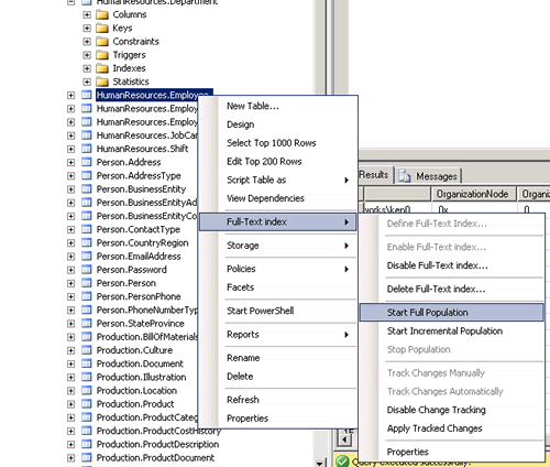 Microsoft SQL Server Full-Text Indexes.