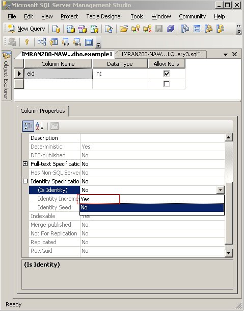 Identity Property Setting.