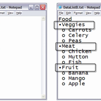 Notepad window.