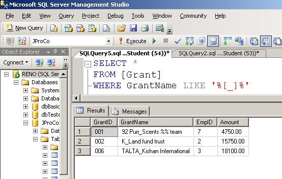 SQL Server Query Results.