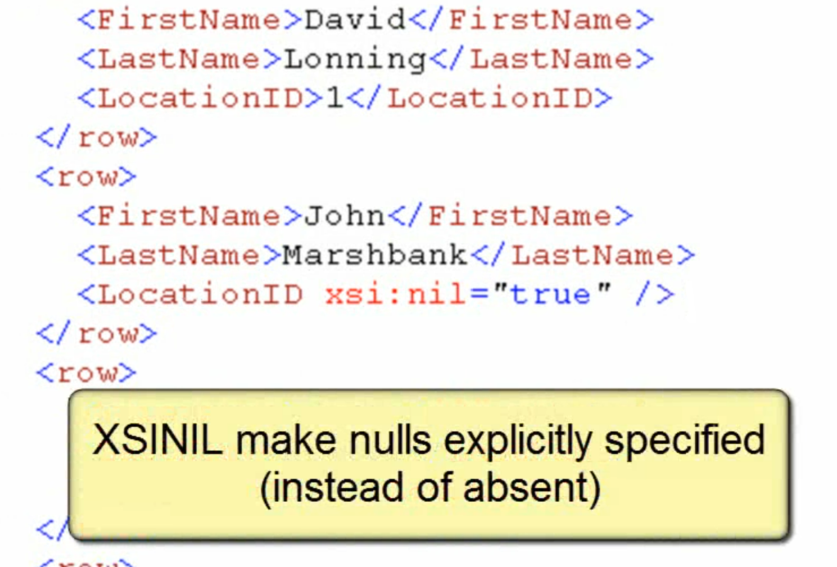 XSINIL XML make nulls explicit.