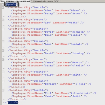 SQL Server Management Studio Query Window.