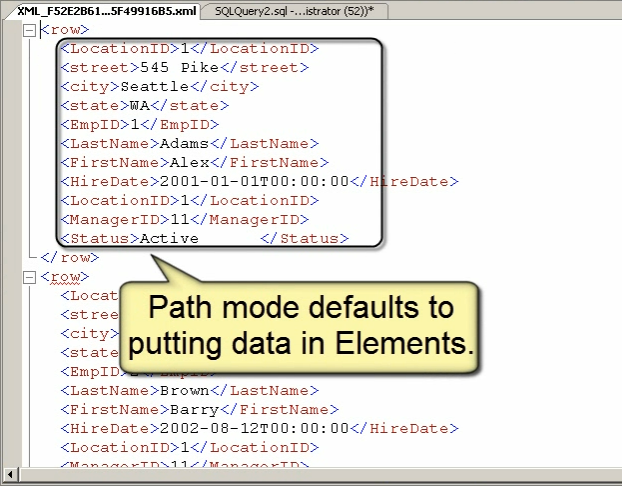 SQL Server Query Window with Data.