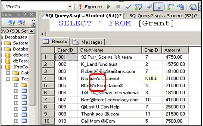 SQL Server query results for 'SELECT * FROM [Grant].