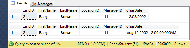 Execution plan and query results windows.