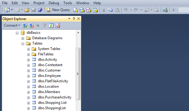 SQL Server Object Explorer.