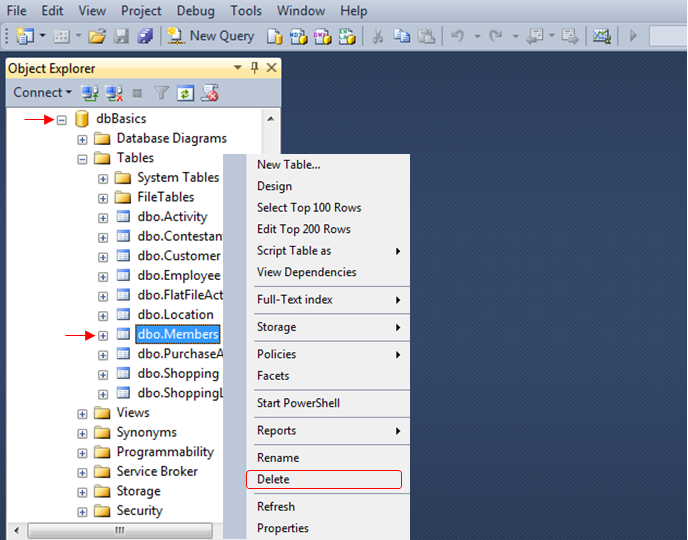 Database Explorer showing dbMembers.