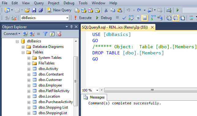 SQL Server Management Studio query execution.