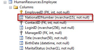 EmployeeId and NationalID columns.