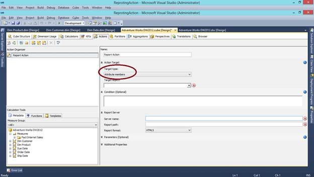 ReportingAction Wizard - Microsoft Visual Studio.