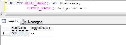 SQL Server Management Studio Query Window.