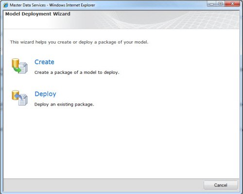SQL Server MDS Wizard window.