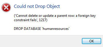 Could not drop object dialog.