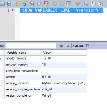 SQL Server Database Browser.