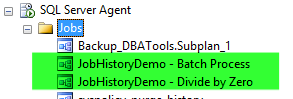 JobHistoryDemo - Batch Process.