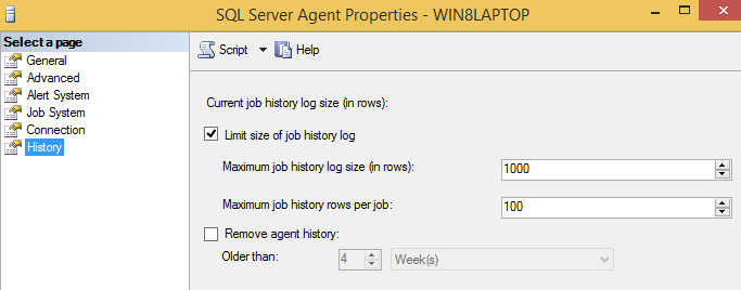 SQL Server Agent Job History.