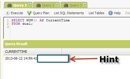 Query result window with a 'Hint' displayed.