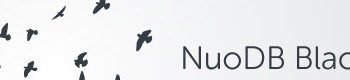 Introducing NuoDB Blackbirds.