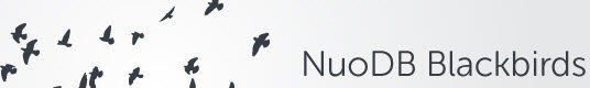 Introducing NuoDB Blackbirds.