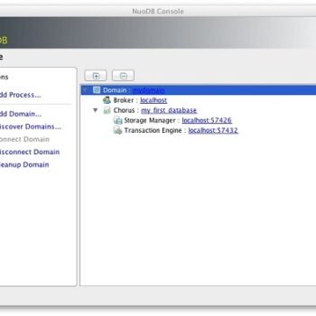 NuoDB Console window.
