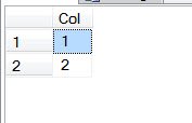 SQL Server 2008 Data Grid.