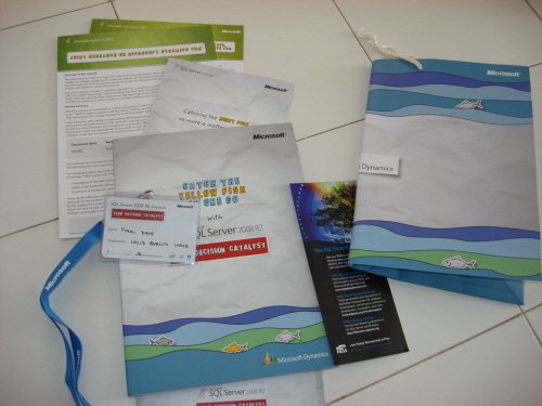 Microsoft SQL Server 2008 R2 Decision Catalyst brochures.