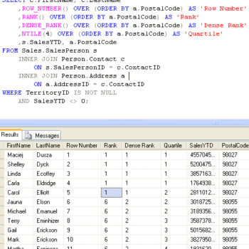 Sql server query results window.