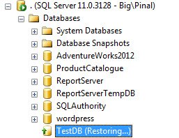 TestDB (Restoring...).