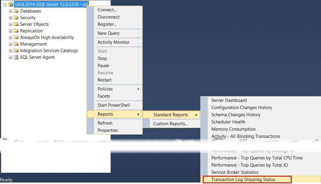 SSMS Reports Tool Window.