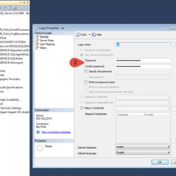 Click on 'Login Properties - sa.