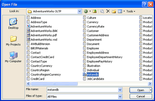Open File dialog box.
