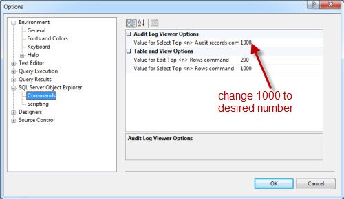 SQL Server Audit Log Settings.