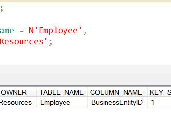 Displaying table and columns for SQL query.