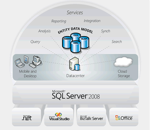 SQL Server 2008 Entity Data Model.