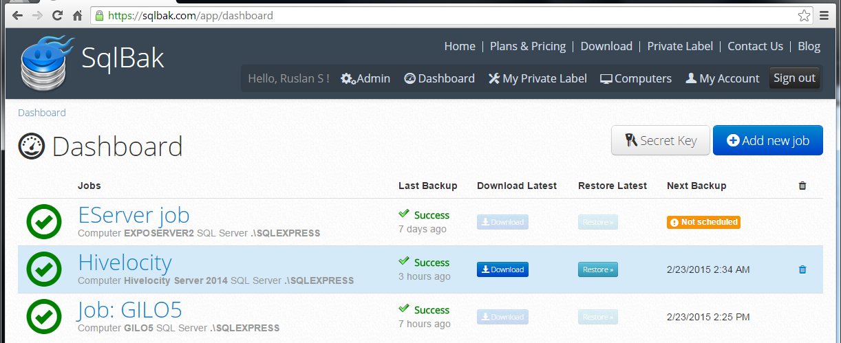SQL Server backup job overview.