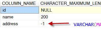 SQL Server column information.
