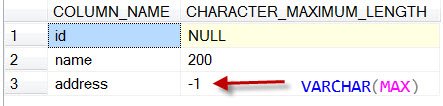 SQL Server column information.
