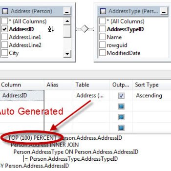 SQL Server query designer top 100 percent.
