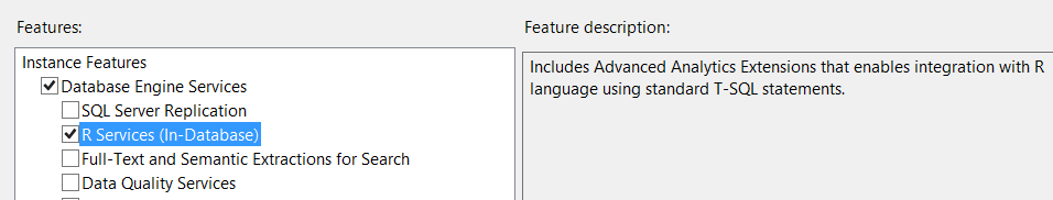 Instance features for r services.
