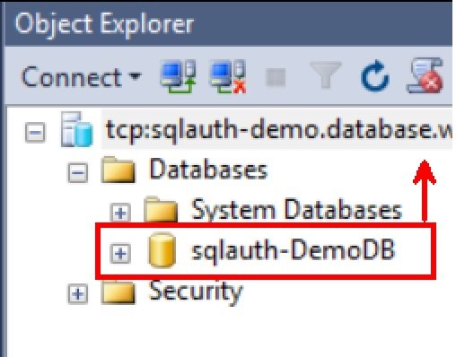 SQL Server Object Explorer.