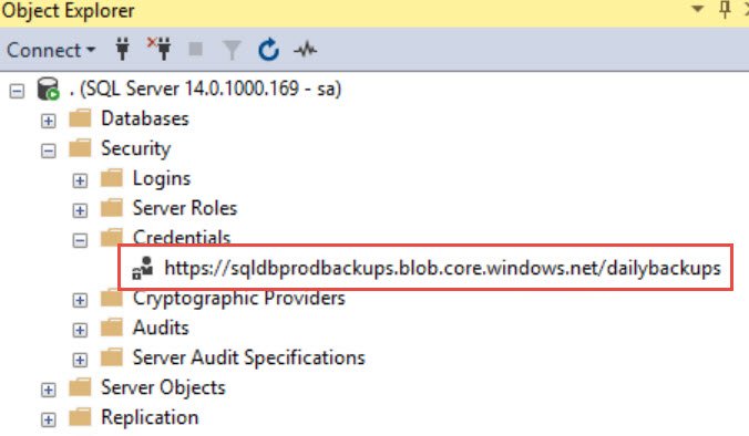 Daily Backups.