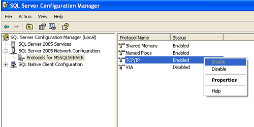 TCP/IP Enabled checkbox.
