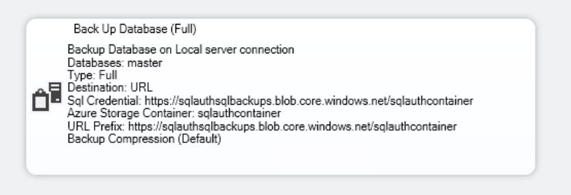 SQL Server Back Up Database.