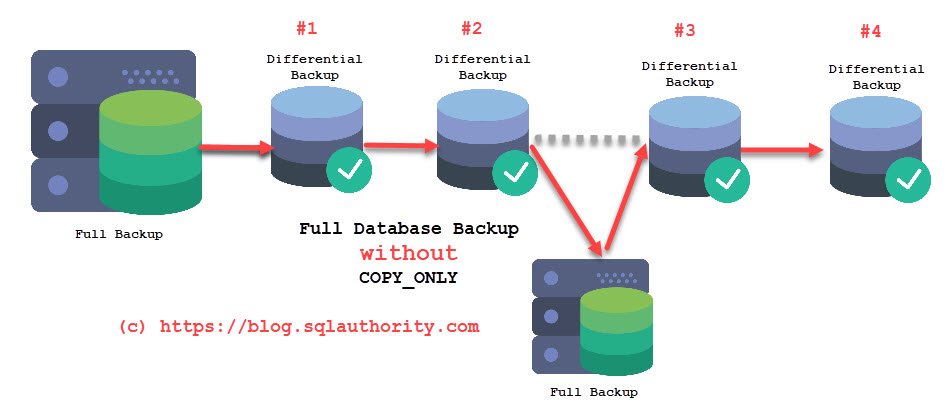 SQL Server backup process.