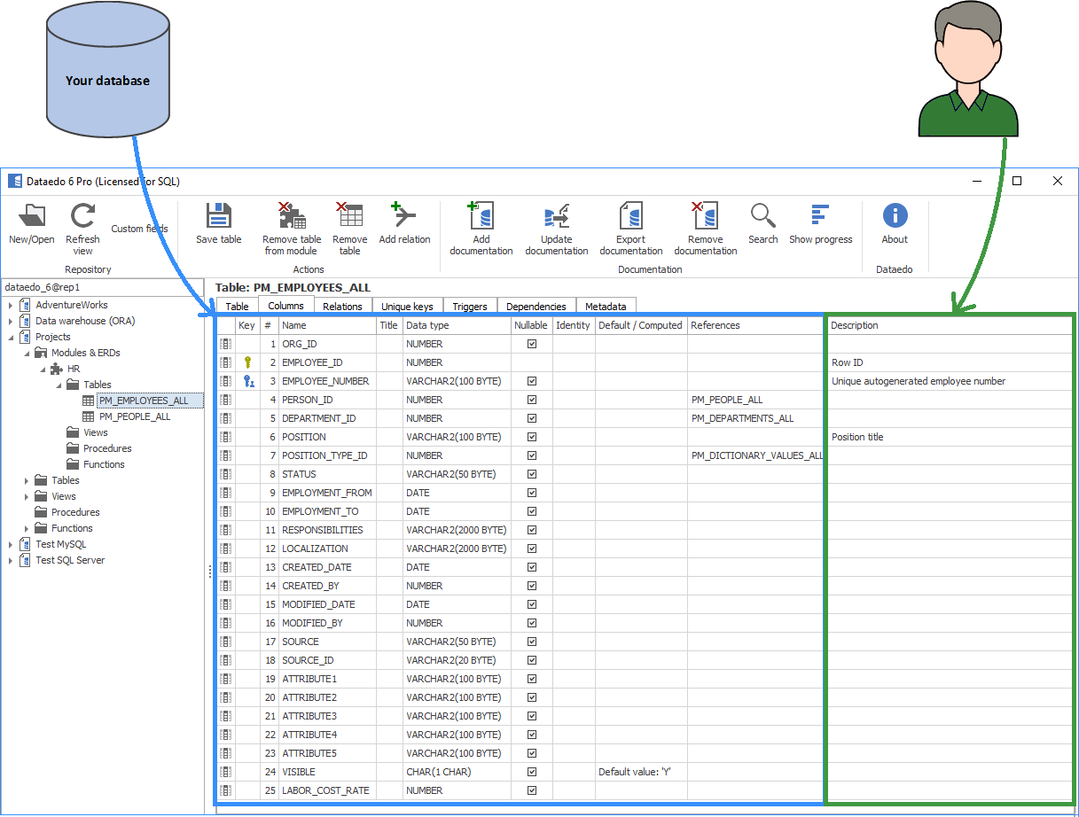 Displaying metadata of SQL Server table.