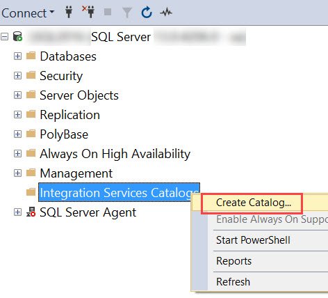 Catalog option.