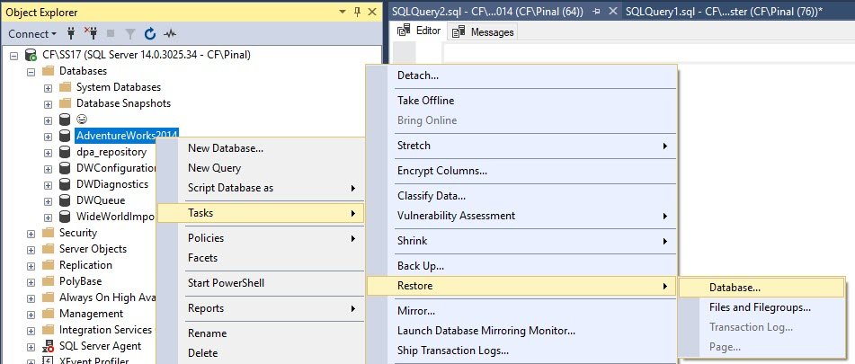 SQL Server Restore Wizard.