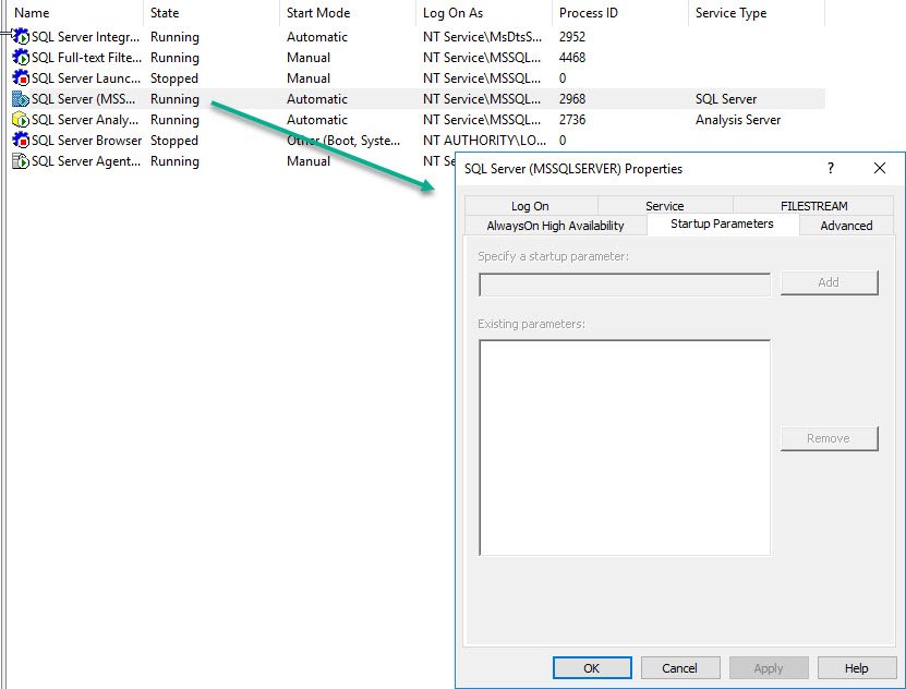Empty startup parameters dialog.