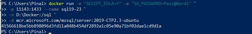 Sql server docker.